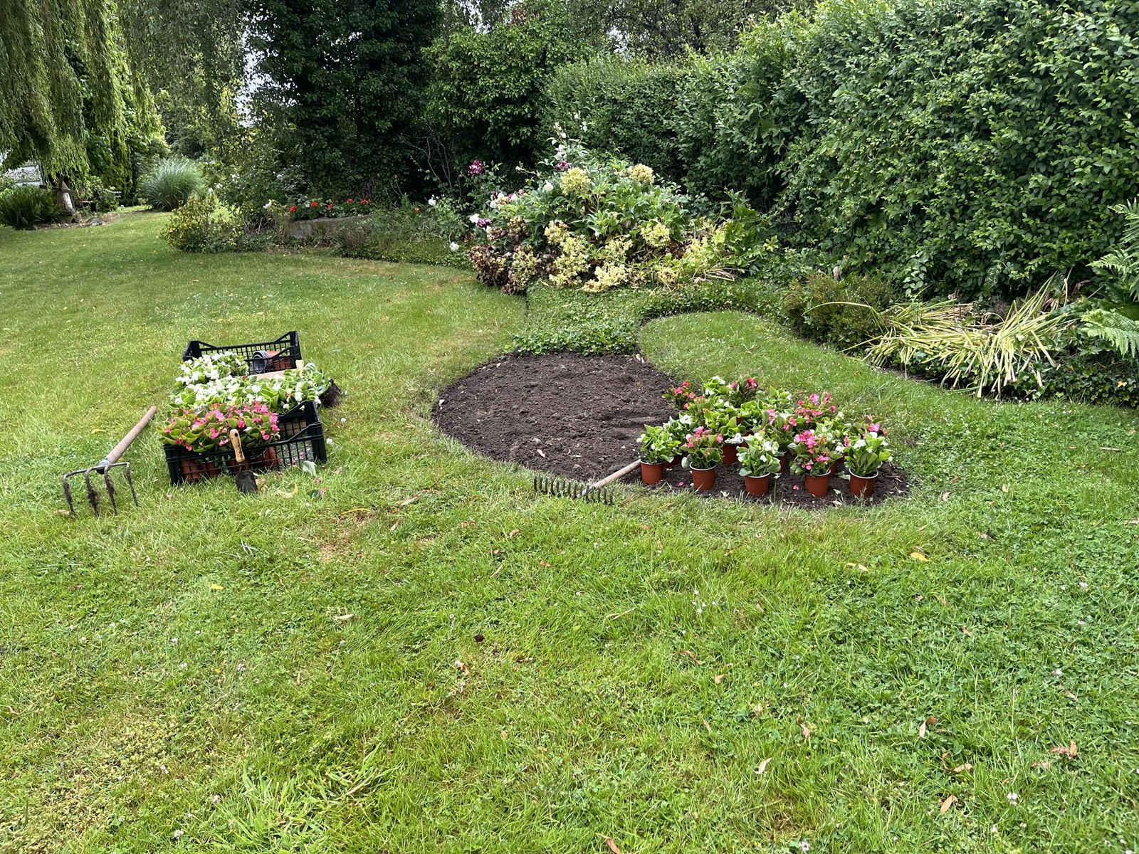 Création et aménagement paysager à Tourcoing par GD Jardins