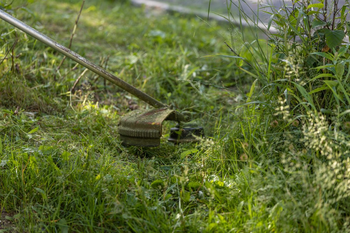 Débroussaillage à Tourcoing par GD Jardins